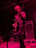 The Chameleons on Jun 17, 2024 [258-small]