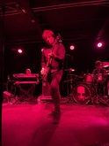 The Chameleons on Jun 17, 2024 [259-small]