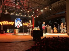 The Stray Cats / The Midnight Cowgirls on Aug 5, 2024 [407-small]