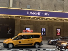 DIIV / Horse Jumper of Love / Full Body 2 on Aug 7, 2024 [721-small]