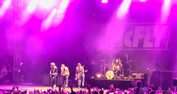 McFly on Aug 8, 2024 [817-small]