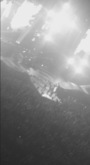 5 Seconds Of Summer / Don Broco / Jessarae on Apr 22, 2016 [041-small]