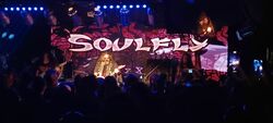 Soulfly / Red Max on Aug 14, 2024 [923-small]
