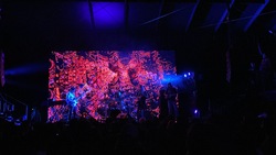 Sugar Candy Mountain / Petite Amie on Aug 23, 2024 [828-small]