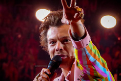 Harry Styles / Blood Orange on Aug 26, 2022 [601-small]