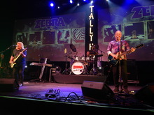 Zebra / Gavin Evick on Sep 6, 2024 [065-small]