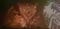 Wolf People / MaidaVale / Hodja on Sep 7, 2018 [201-small]
