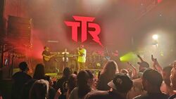 through the roots / Surfer Girl / Flowmads on Sep 7, 2024 [231-small]