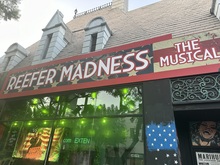"Reefer Madness" on Sep 7, 2024 [405-small]