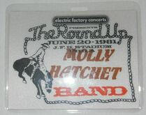 The Marshall Tucker Band / The Allman Brothers Band / Outlaws / .38 Special / Molly Hatchet on Jun 20, 1981 [893-small]