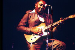 Muddy Waters on Oct 24, 1975 [970-small]