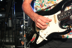 tags: Peter Mayer Group, Louisville, Kentucky, United States, Christy's Garden - The Labor Day Weekend Show on Aug 31, 2024 [364-small]