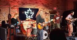 Carbon Leaf on Sep 20, 2017 [697-small]