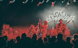 The Sheepdogs / Shane Guerrette on Sep 29, 2024 [576-small]