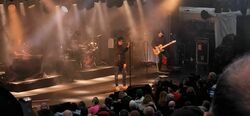 Echo & The Bunnymen / Zoe Graham on Aug 8, 2024 [452-small]
