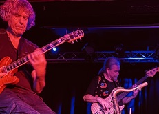 tags: Soft Machine, Toronto, Ontario, Canada, The Garrison - Soft Machine / Service Animals on Oct 1, 2024 [098-small]