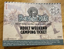 Beautiful Days Festival 2024 on Aug 15, 2024 [660-small]