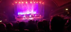 Squeeze / Badly Drawn Boy on Oct 12, 2024 [398-small]