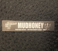 Mudhoney / Unnatural Helpers / The Tom Price Desert Classic on Jun 25, 2011 [582-small]