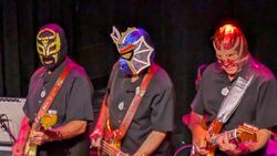 Nick Lowe / los straitjackets on Oct 20, 2024 [446-small]