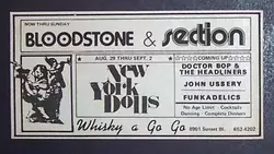 New York Dolls / White Raven on Aug 29, 1973 [337-small]