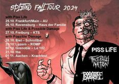 Possible Damage / Piss Life / Facepalm Nation on Oct 27, 2024 [864-small]
