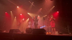 Buena Vista Social Orchestra / Cody Jasper on Oct 27, 2024 [063-small]