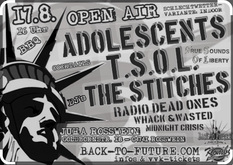 Stitches / T.S.O.L. / The Adolescents / Radio Dead Ones / Chefdenker on Aug 17, 2013 [575-small]