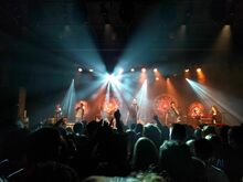 The Cat Empire / Sarah MacDougall on Aug 2, 2016 [903-small]