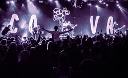 The Covasettes / The Kites / The Manatees on Oct 25, 2024 [429-small]