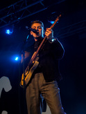 The Covasettes / The Kites / The Manatees on Oct 25, 2024 [430-small]