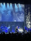 Morrissey on Nov 2, 2024 [106-small]