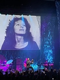 Morrissey on Nov 2, 2024 [107-small]