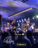 The dogs / Dudes / Life Lessons on Nov 9, 2024 [807-small]