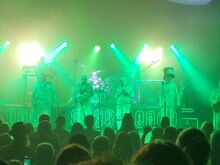 Here Come the Mummies on Nov 10, 2024 [152-small]