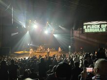 A Flock of Seagulls / Men Without Hats on Nov 7, 2024 [559-small]