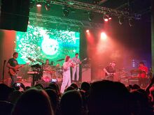 King Gizzard & the Lizard Wizard / King Stingray on Nov 13, 2024 [083-small]