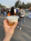 Corona Capital 2024 on Nov 15, 2024 [489-small]