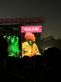 Camp Flog Gnaw 2024 on Nov 16, 2024 [736-small]