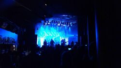 tags: Heidevolk - Heidevolk / Vanaheim on Nov 29, 2024 [751-small]